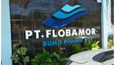Temuan BPK, Diduga PT. Flobamor Tidak Setor Deviden Rp 1,6 M ke Pemprov NTT