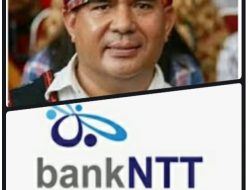 Padma Indonesia Minta Polresta Kupang Periksa Pejabat Bank NTT Terkait Kasus Percobaan Pembunuhan Wartawan
