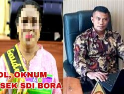 Diduga Aniaya Dua Siswa, Advokat Malaka Desak Kadis P&K Copot Oknum Kepsek SDI Bora