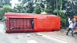 Horor Kecelakaan Bus di Takari Menyebabkan 18 Orang Terluka